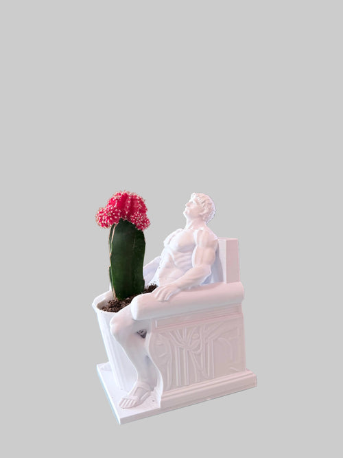 Happy Cactus