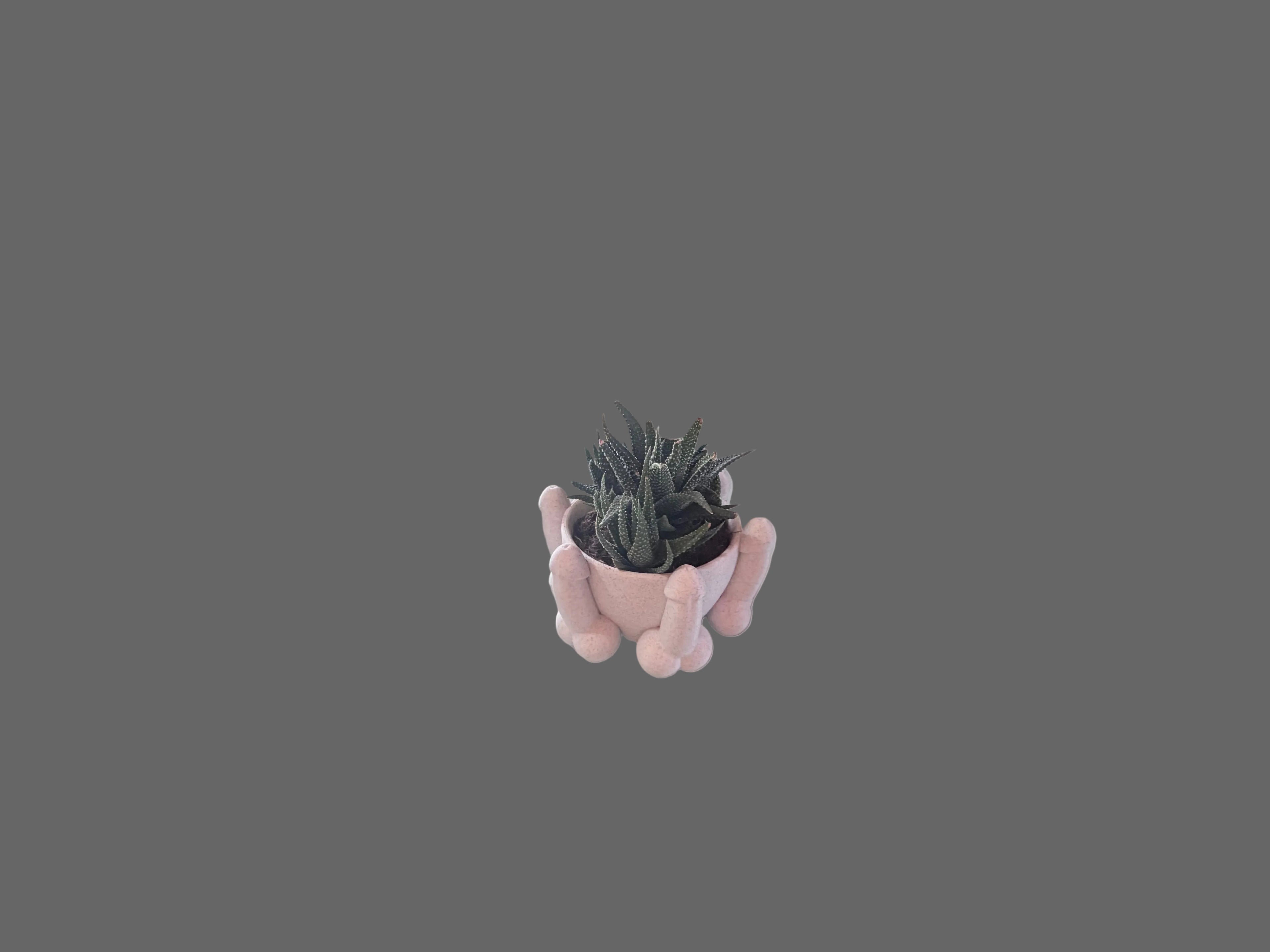 Penis Bowl