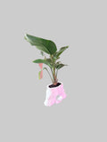 Torso Planter