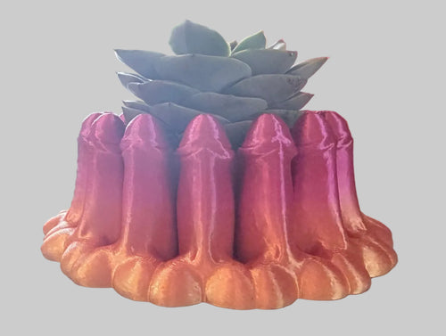 3D succulent planter